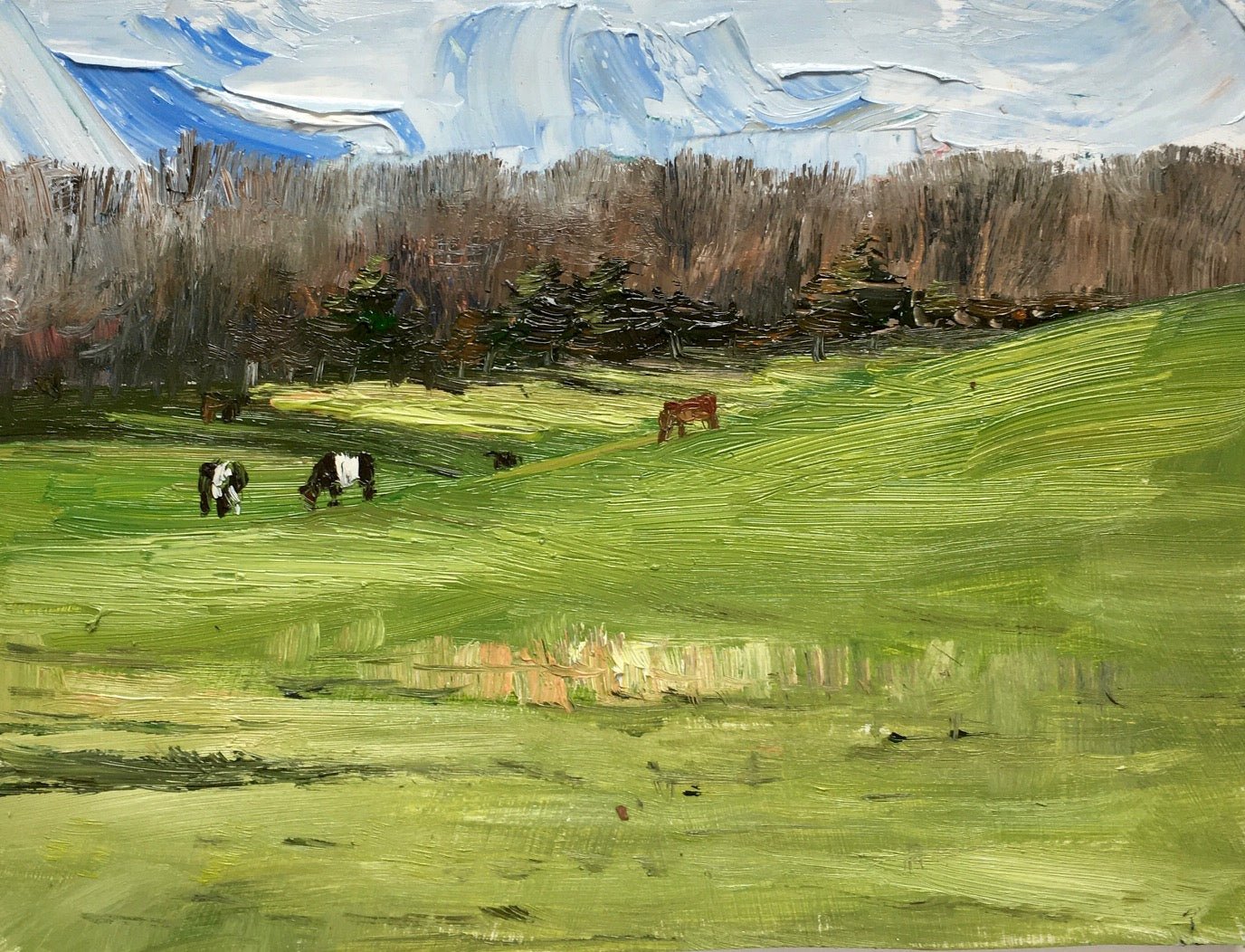 New Grass by Gray Park